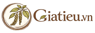 giatieu.vn