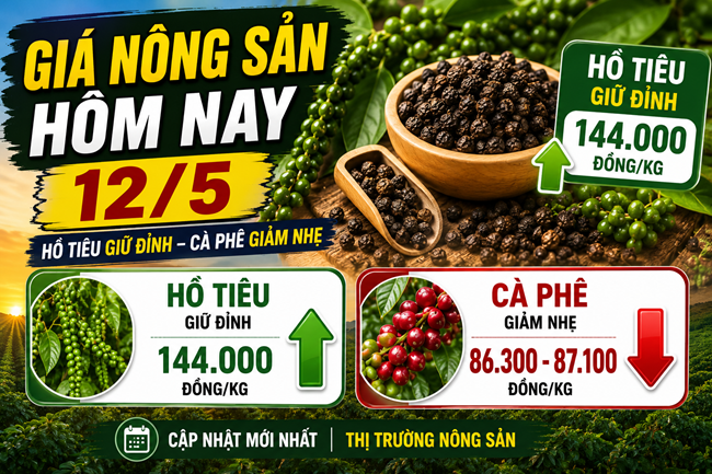 Giá nông sản hôm nay 12/5: Hồ tiêu neo cao, cà phê Tây Nguyên giảm nhẹ