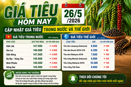 Giá tiêu hôm nay 26/5/2026: Cập nhật giá tiêu trong nước và thế giới